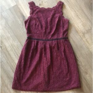 LOFT Petites Lace Overlay V-Back Mini Dress